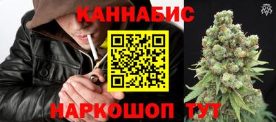 стафф Лесосибирск