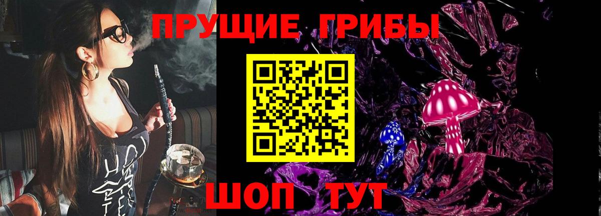 Кингисепп  Псилоцибиновые грибы Psilocybine cubensis  Галлюциногенные грибы Psilocybine cubensis  Вход с VPN 