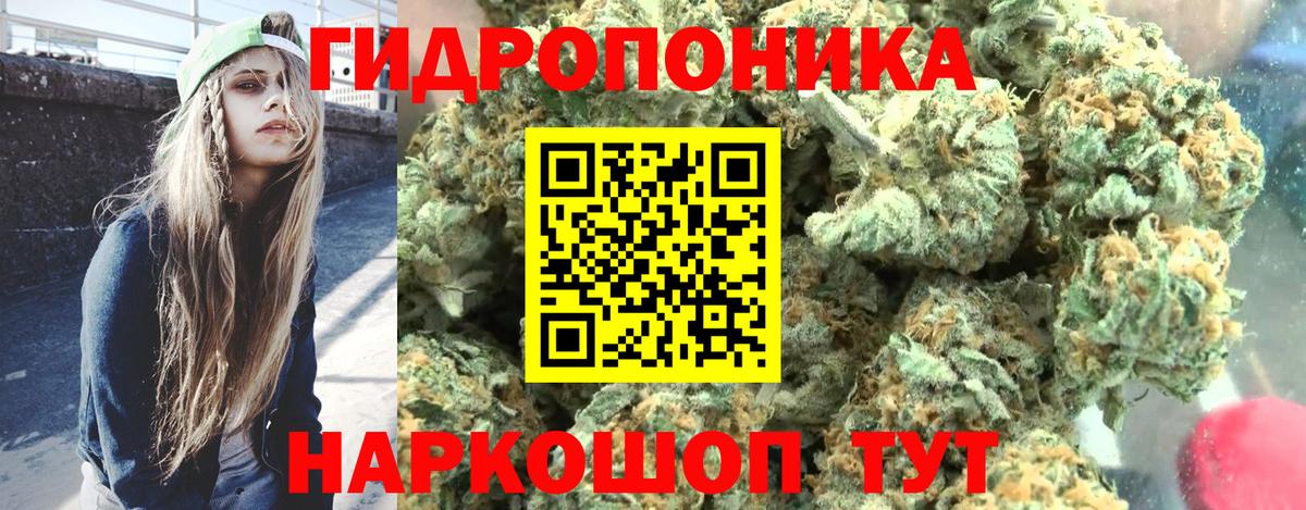 Бошки Шишки SATIVA & INDICA  Шишки марихуана White Widow  Вход с VPN  Каннабис AK-47  Кингисепп  Канабис семена 